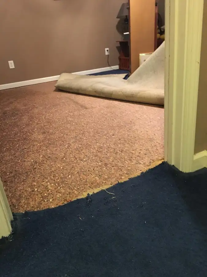 Carpet pad removal revealing water damage during Water Mitigation Services in East Fallowfield