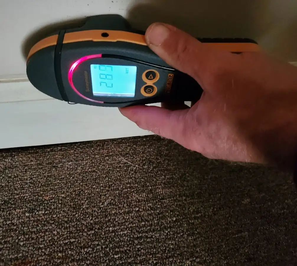 Moisture detection at baseboard during Burst Pipe Cleanup in East Fallowfield